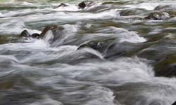 Duckabush-River-2014-06-01-by-Mike-Bay-081