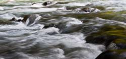 Duckabush-River-2014-06-01-by-Mike-Bay-082