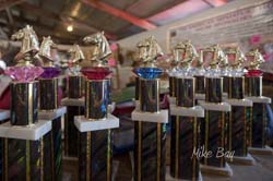 Kitsap Fair and Stampede 2014-08-22 by Mike Bay 2842A