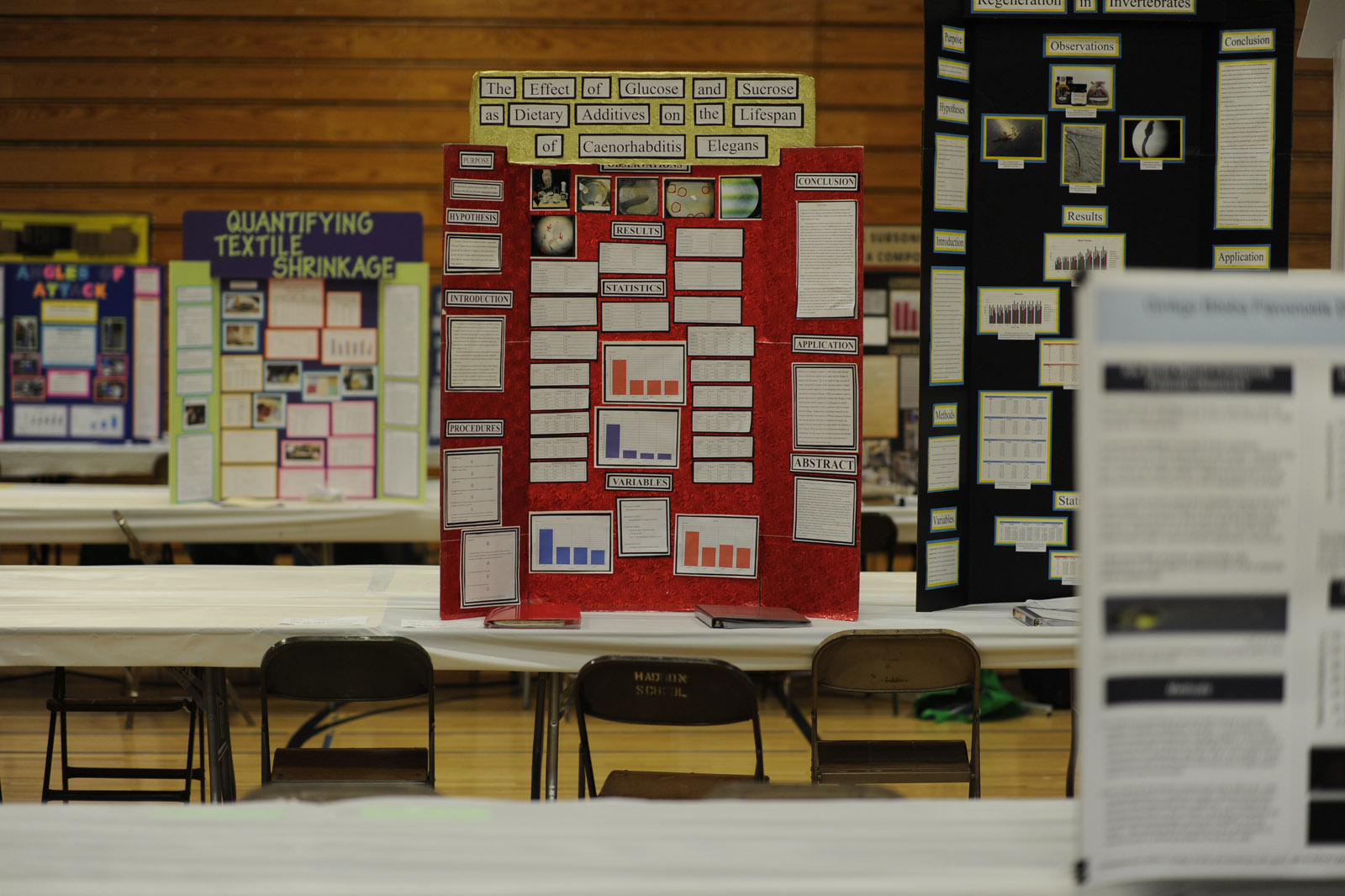 Science Fair 2016-04-02 by Mike Bay D3S  352